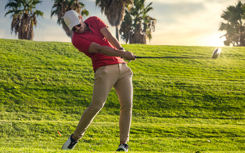 The Hips: Where Movement Becomes Power